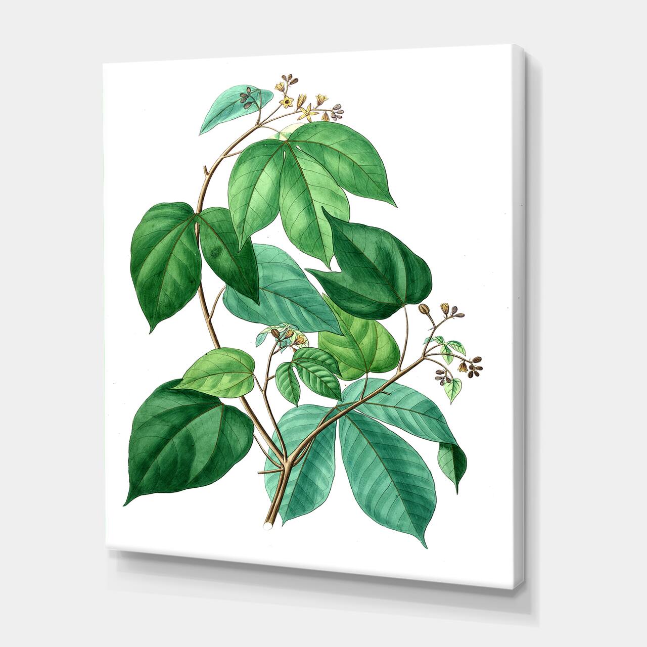 Designart - Vintage Green Leaves Plants III - Traditional Canvas Wall Art Print